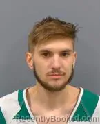 Mugshot of DYLAN LEE WORKMAN