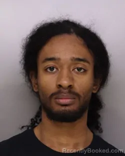 Mugshot of ARIAN PHILLIPS