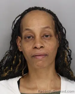 Mugshot of TARA GEER