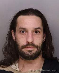 Mugshot of DANE BRYANT