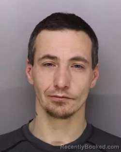 Mugshot of DONALD SWING