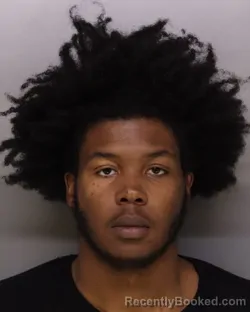 Mugshot of LEARRIS ALLEN