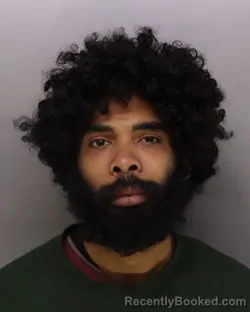 Mugshot of ROBERT RONE