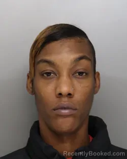 Mugshot of SHAMICKA SINCLAIR