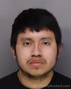 Mugshot of ALEX CASTRO