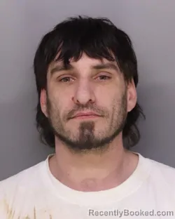 Mugshot of MICHAEL WALSH