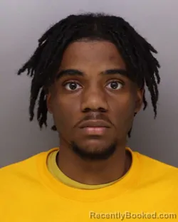 Booking photo from Hamilton County, Ohio