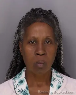 Mugshot of ANDREA ARNOLD