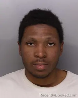 Mugshot of ALLAN TURNER