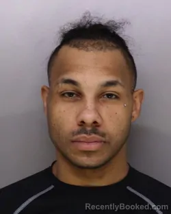 Mugshot of BRYAN DELL