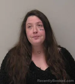 Mugshot of Angel Lynne Olmstead