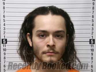 Booking photo from Hardin County, Ohio