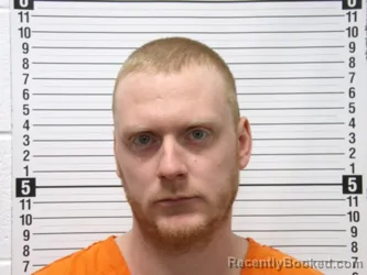 Mugshot of BRANDON MICHAEL OVERS