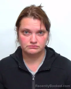 Mugshot of SUZIE ELIZABETH LANIER