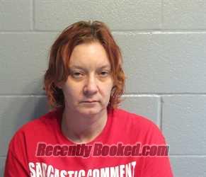 Booking photo from Huron County, Ohio