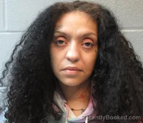 Mugshot of ASHLEY RENE ARNETT