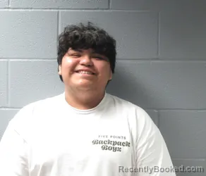 Booking photo from Huron County, Ohio