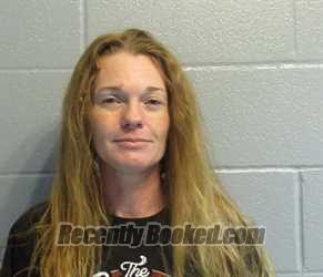 Booking photo from Huron County, Ohio