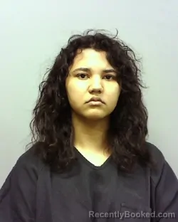 Mugshot of TYTIANNA SHANELLE WASHINGTON