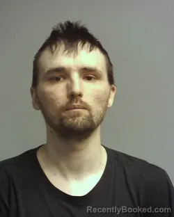 Mugshot of ROBERT BRCINOVIC