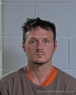 Mugshot of SEAN CHRISTOPHER BRISSON