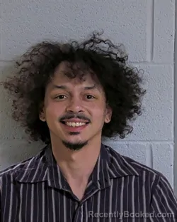 Mugshot of DAMONSHAY JORDAN COTTON