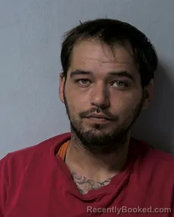 Mugshot of SHAWN PERRY COBBLE