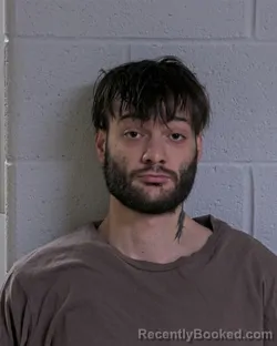 Mugshot of TRESTIN DOUGLAS DOWNING-HOFFER