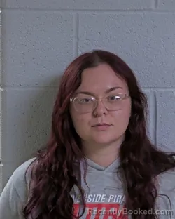 Booking photo from Logan County, Ohio