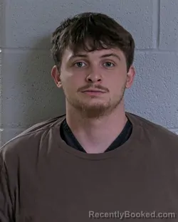 Booking photo from Logan County, Ohio