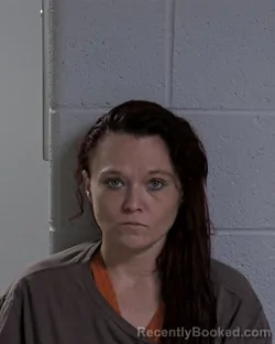 Mugshot of JESSICA MARIE MORTON