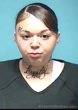 Booking photo from Lorain County, Ohio