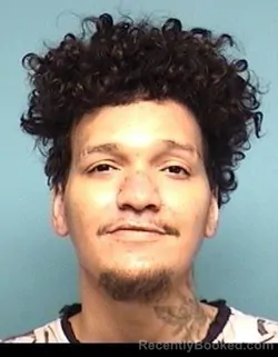 Mugshot of SKYE RAUCH