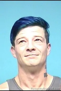 Mugshot of JAMES A CHRISTESCU