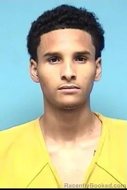 Booking photo from Lorain County, Ohio