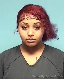 Mugshot of ANASTAJIA MAREE PERKINS