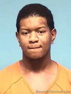 Booking photo from Lorain County, Ohio