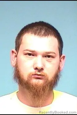 Mugshot of STEVEN C WITT