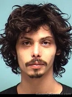 Mugshot of XAVIER LUIS AYALA
