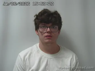 Mugshot of BRIAN NEWMAN