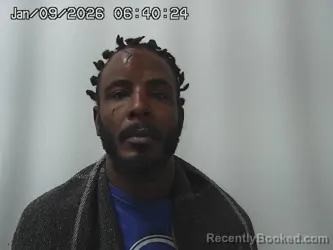 Mugshot of LEANDREWS JOHNSON