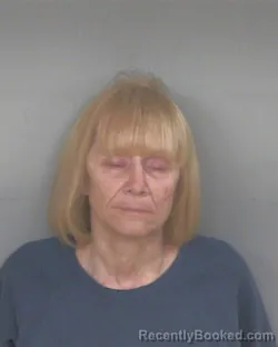 Mugshot of JOLENE MARIE MCGARVEY