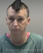 Mugshot of LEANN CARR