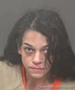 Mugshot of SASHA NICHOLE VILLEGAS