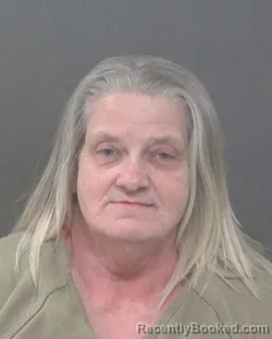 Mugshot of LISA ANN SWARTZ