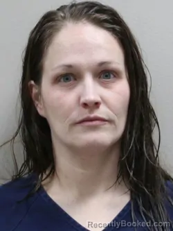 Mugshot of ABBIE LEANN HOLTON