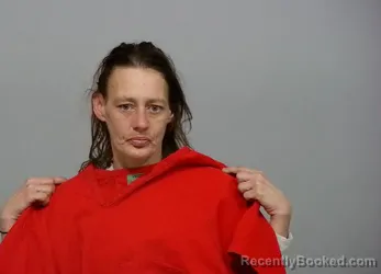 Mugshot of TINA MARIE VANDINE