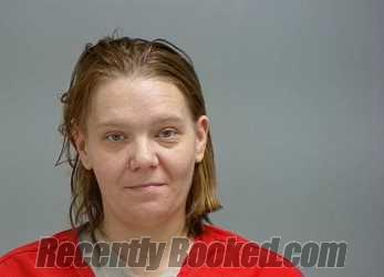 Booking photo from Pickaway County, Ohio