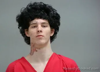 Mugshot of LAYLE MOHLER