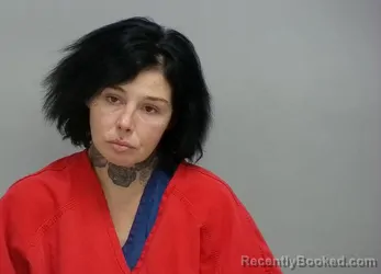 Mugshot of CARIE ANN FRANCES HUBER